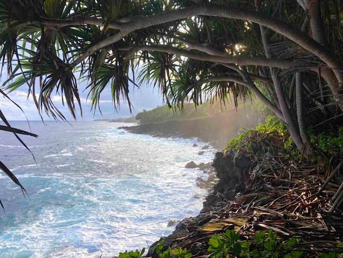 Seaside House And Aloha Bungalow Pahoa Zewnętrze zdjęcie